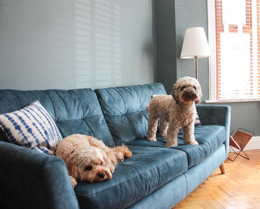 fallback alt text two