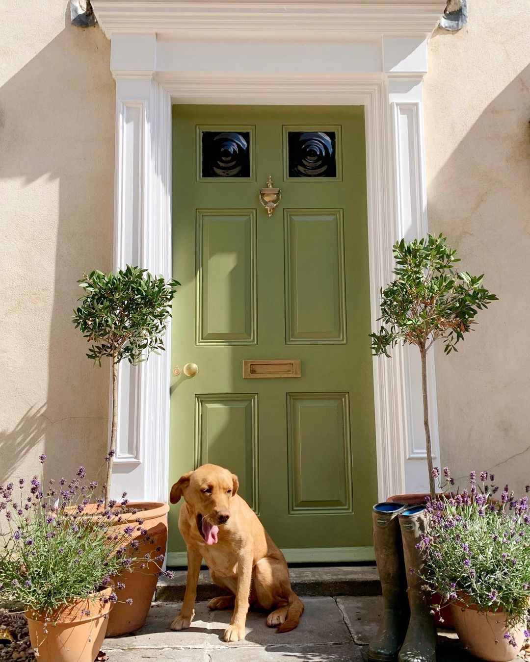 Revamp your front door