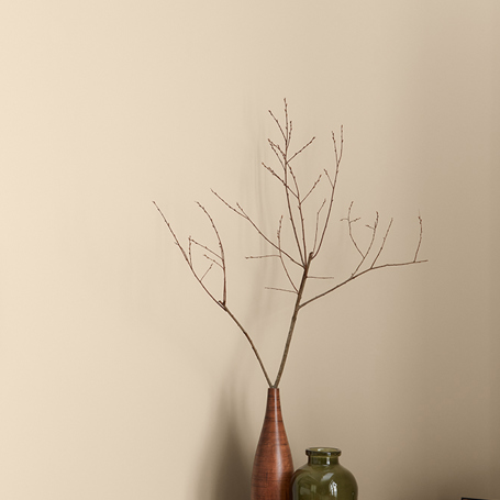Elk Antler