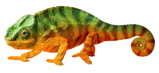 GET 3 FOR 2 VALSPAR PAINT AT B&Q