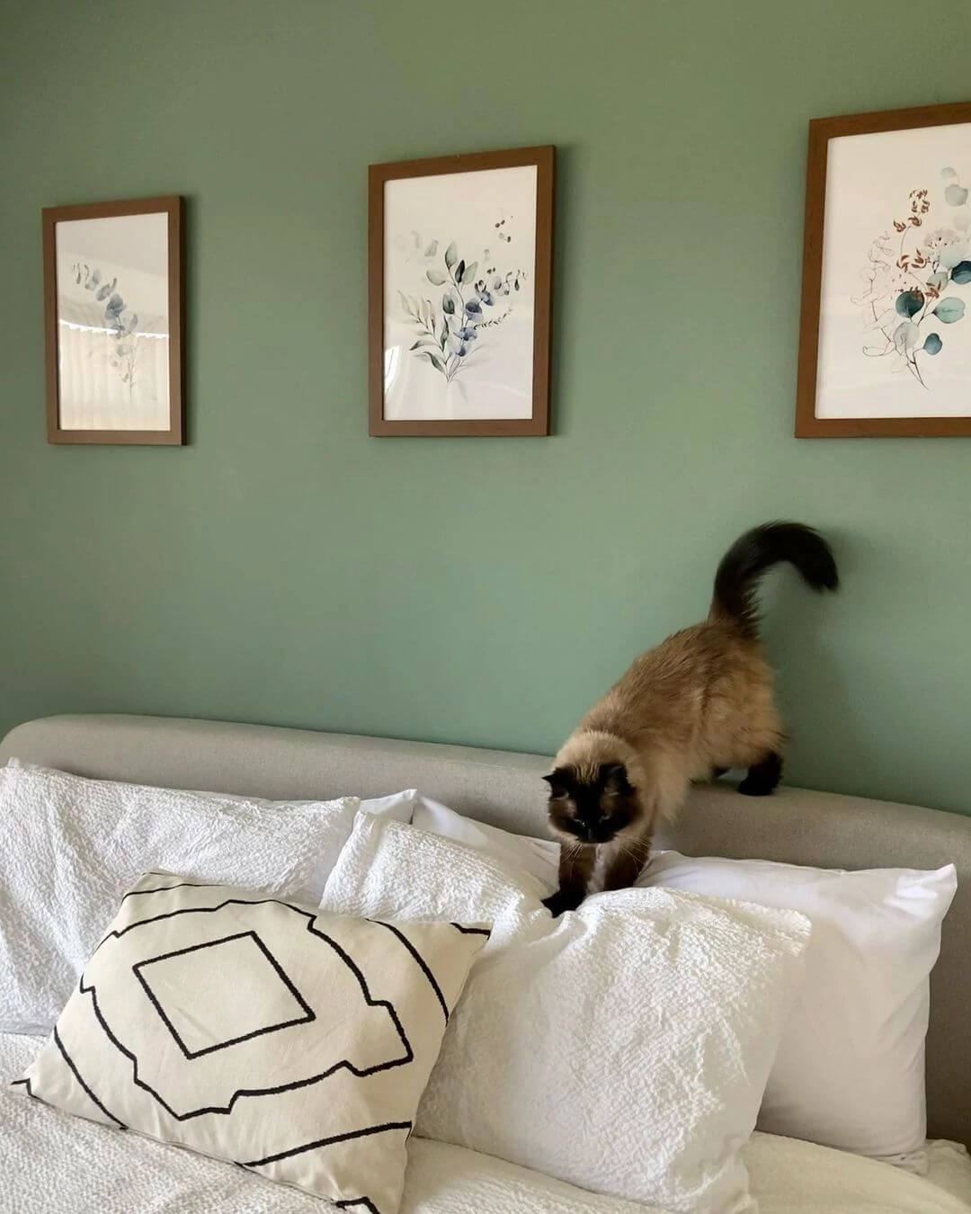 fallback alt text two