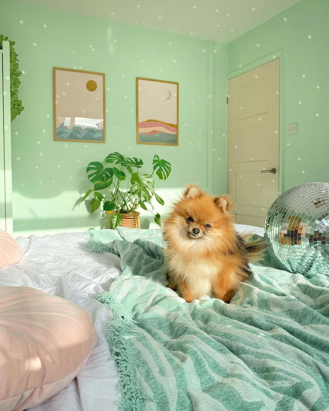 fallback alt text two