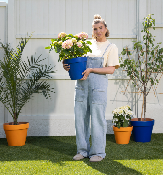 Ready to shop Olivia’s Garden Colours?