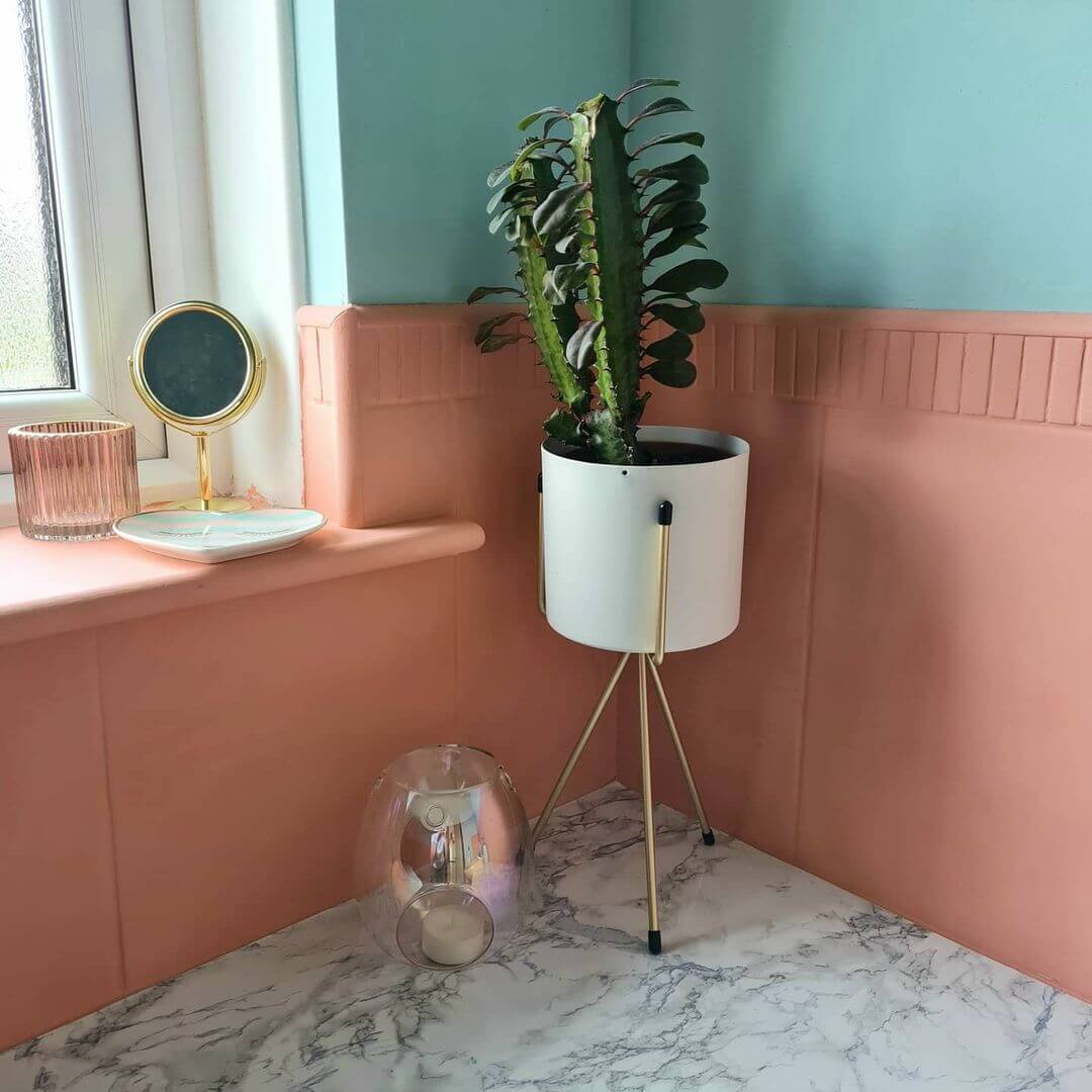 fallback alt text two